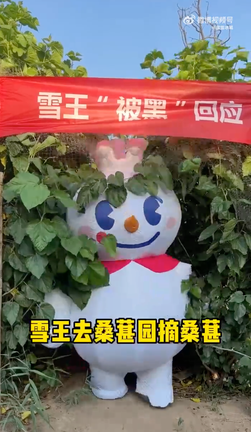 蜜雪冰城被黑